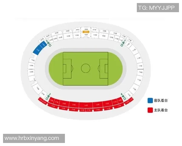 足球比赛直播场内与场外的不同体验与观赛方式分析 足球比赛直播场内与场外的不同体验与观赛方式分析