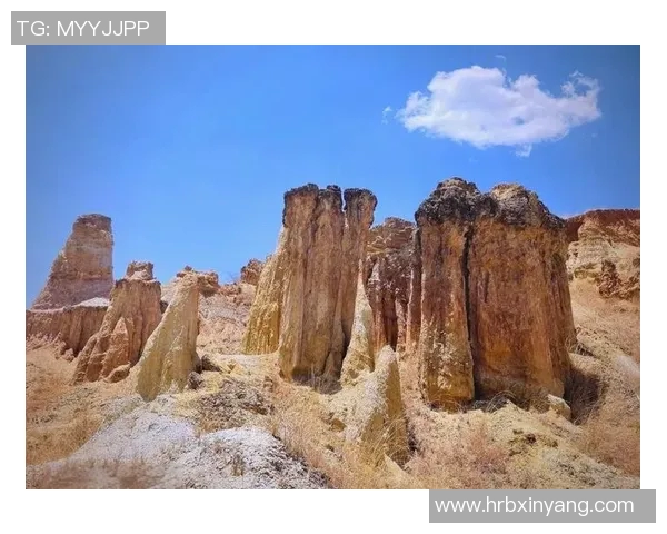探索合恩角的自然奇观与人文历史之旅