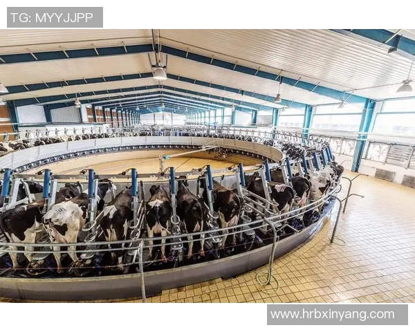 探索塞马的神秘世界与其在现代科技中的应用与发展潜力 探索塞马的神秘世界与其在现代科技中的应用与发展潜力