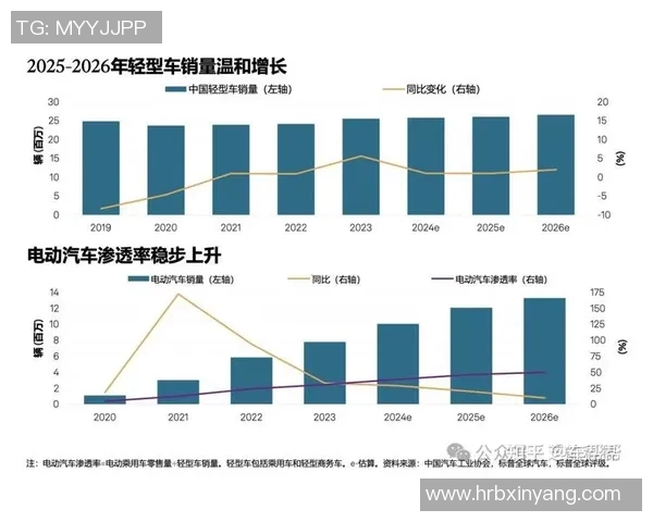 探索NVA的未来发展与创新路径分析及其对行业的影响
